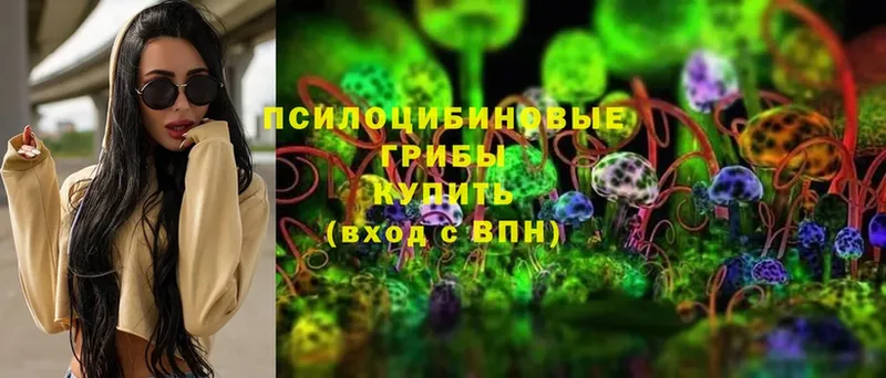 цены наркотик  Кукмор  Галлюциногенные грибы MAGIC MUSHROOMS 